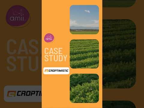 AI + Agriculture: See how Amii and Croptimistic are using AI for cereal crop detection