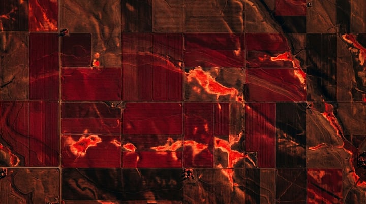 Satellietdata als kompas voor duurzaamheidsbesluiten bij 52impact