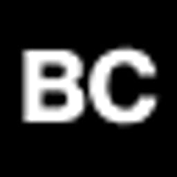 Begin Capital