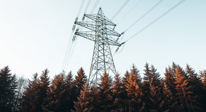 Overstory gebruikt satellietbeelden en AI om elektriciteitsnetwerken te beschermen tegen begroeiing