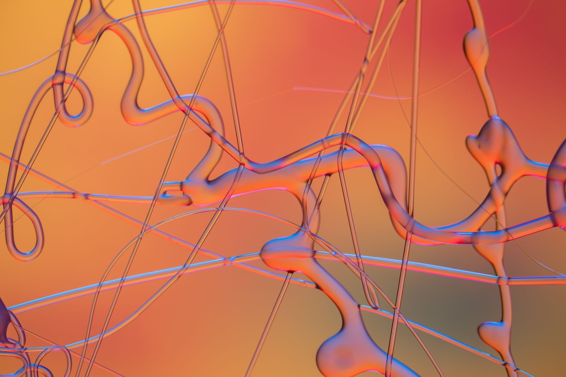 Cover image of Data Amplified 2026