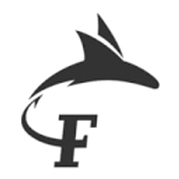 Fontys