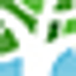 Zelkova Ventures