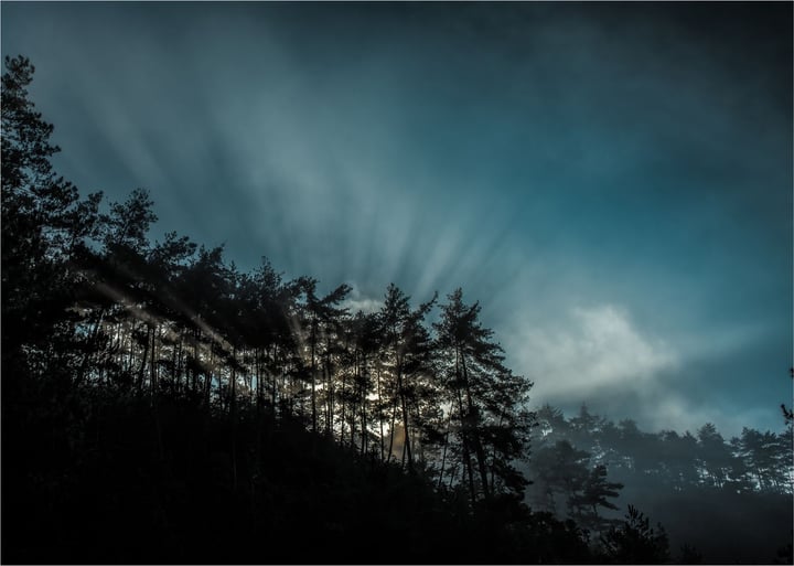 Dexter Energy helps energy companies better exploit short-term markets with AI software