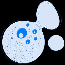AI4Cosmetics