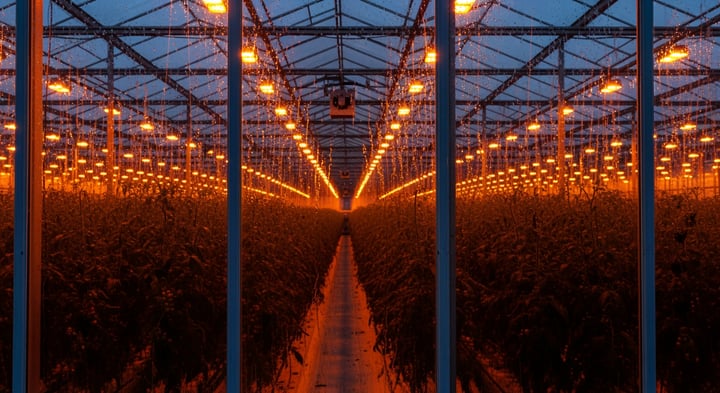 Source.ag helpt glastuinders betere beslissingen nemen met datasoftware